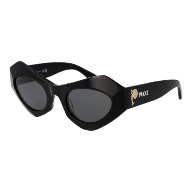Black Plastic Sunglasses
