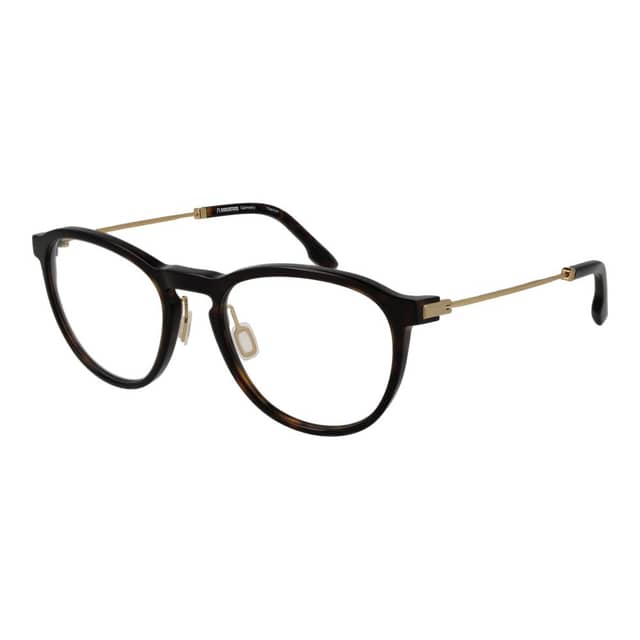 Brown Titanium Glasses (Frames)